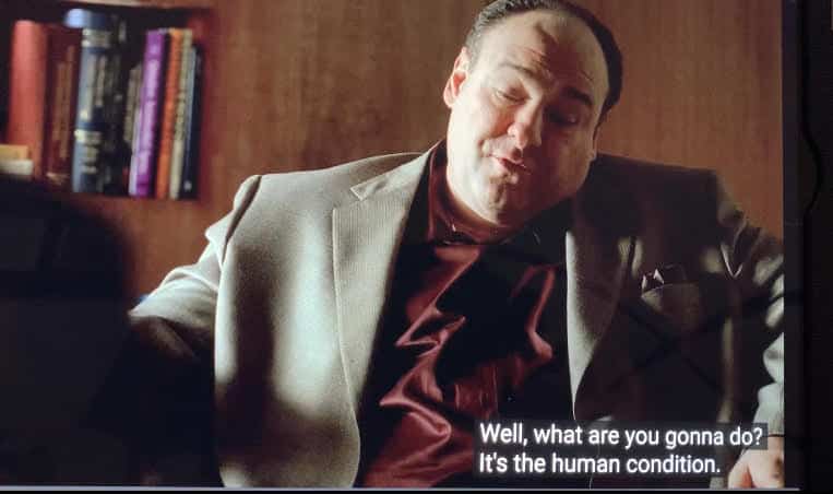 Tony Soprano is talking to Dr. Melfi about why every day is a gift.