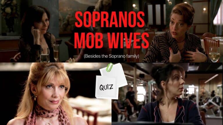 cover image of sopranos mob wives quiz