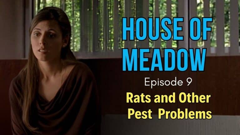house of meadow episode nine